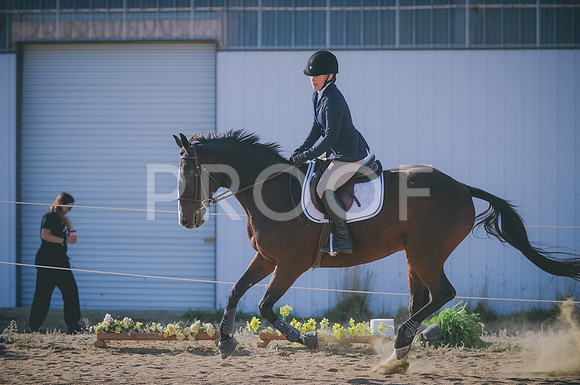 JJS_0682