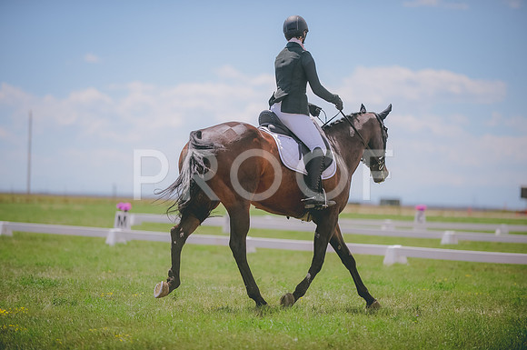 JJS_5947