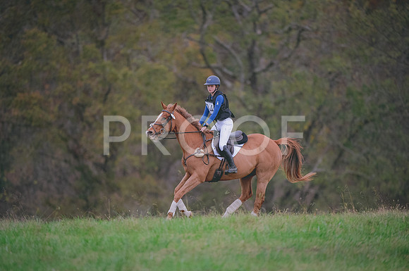 JJS_0255A