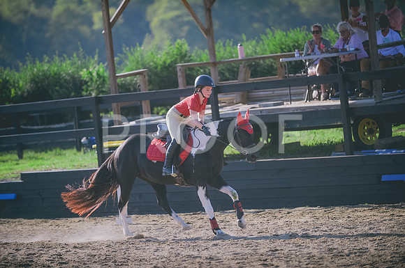 JJS_7882A