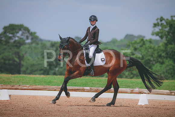 RWP_4518