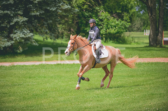 JJS_0827