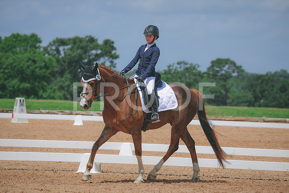 RWP_4425