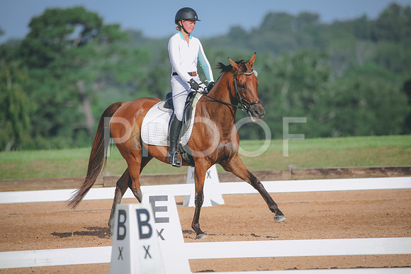 RWP_4481