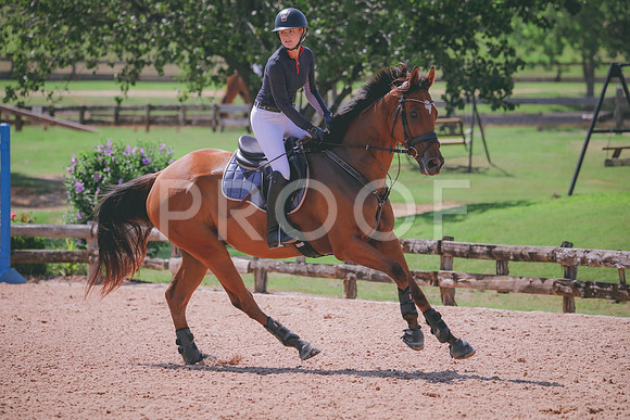 RWP_5204