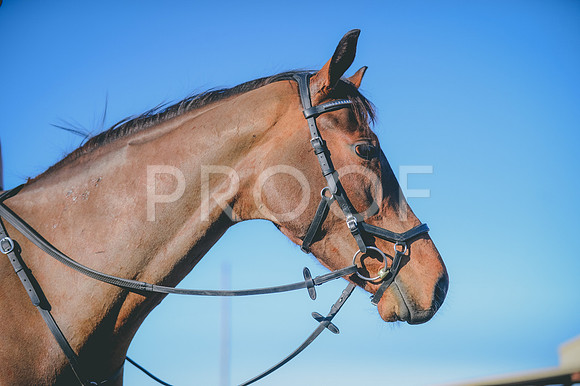 JJS_0715