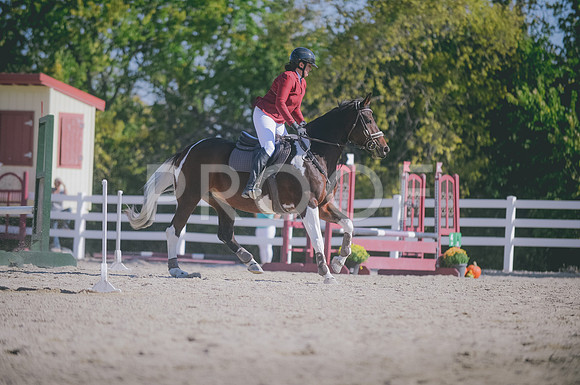 JJS_0036