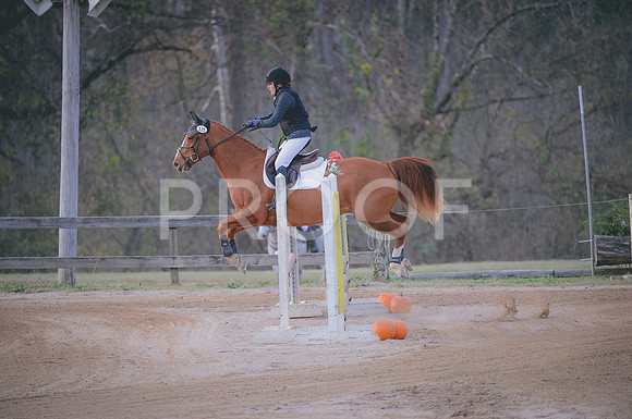 JJS_1191