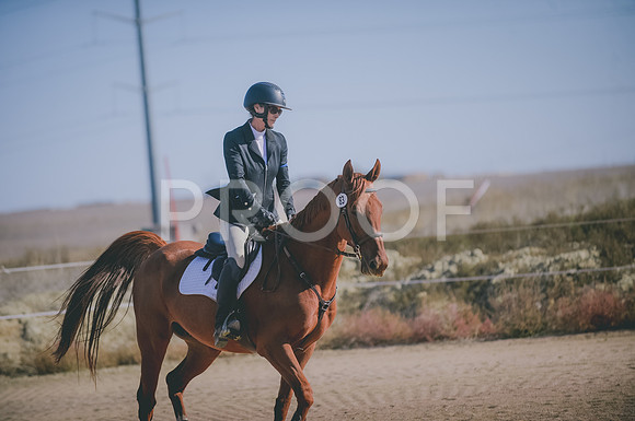 JJS_3245