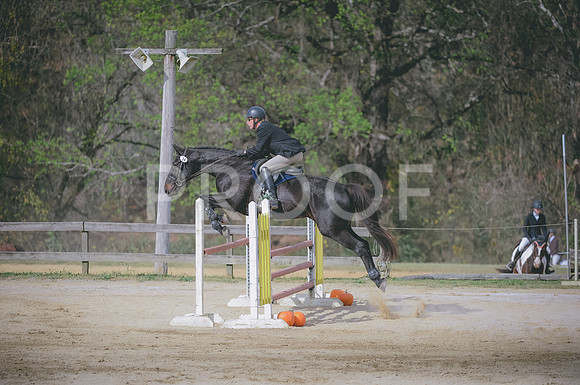 JJS_1320