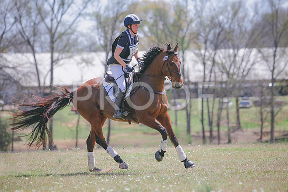 RWP_8590