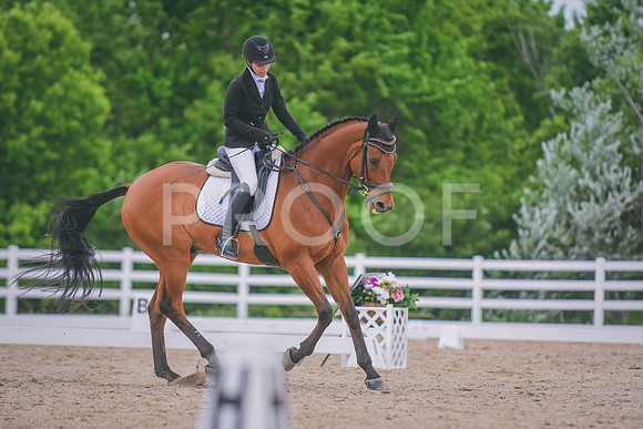 DSC_3506 copy
