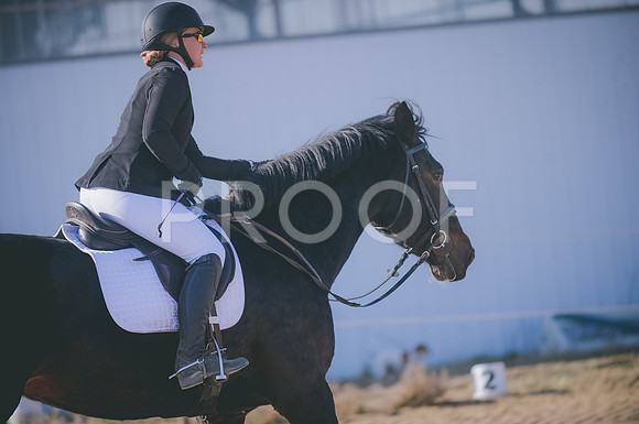 JJS_0935