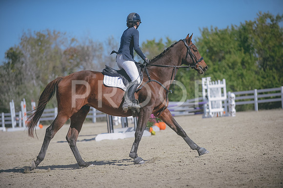 JJS_3094