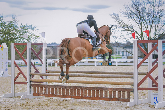 DSC_0059 copy