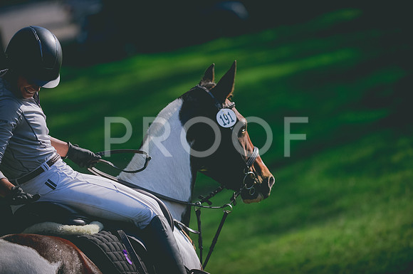 JJS_7799A