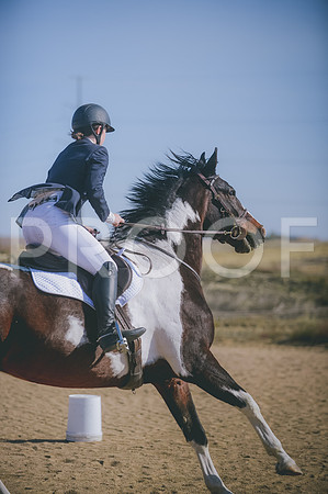 JJS_3191