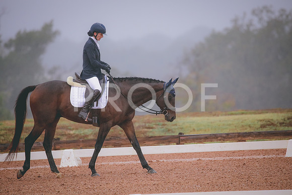 RWP_0868