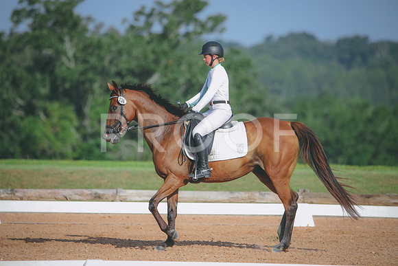 RWP_4484