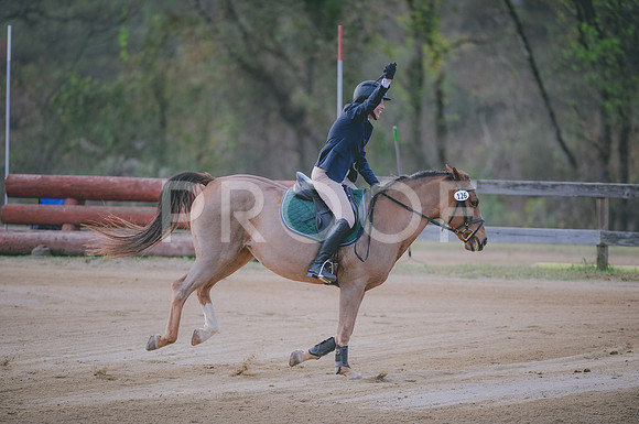 JJS_1433