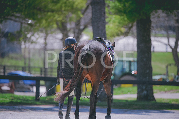 JJS_5683