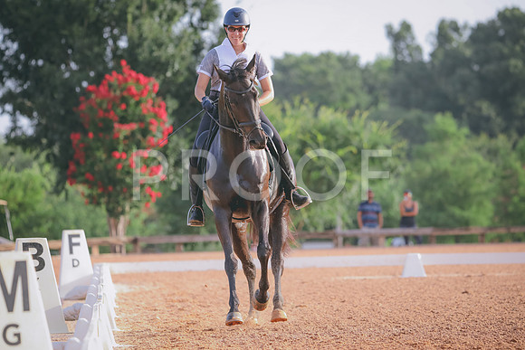 RWP_4234