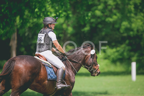RWP_4208
