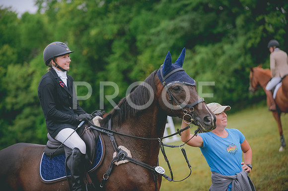 JJS_8201