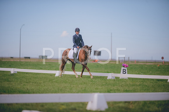 JJS_1451