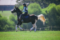 RWP_6378