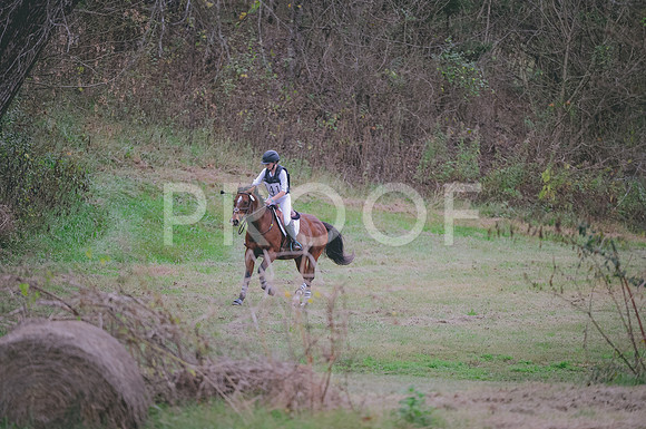 JJS_5437