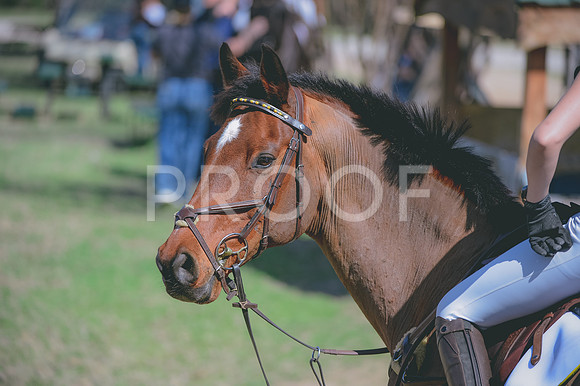 JJS_3164