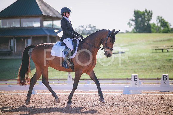 RWP_9235