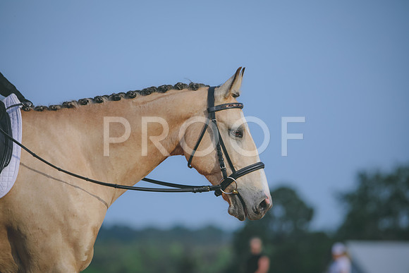 RWP_3744