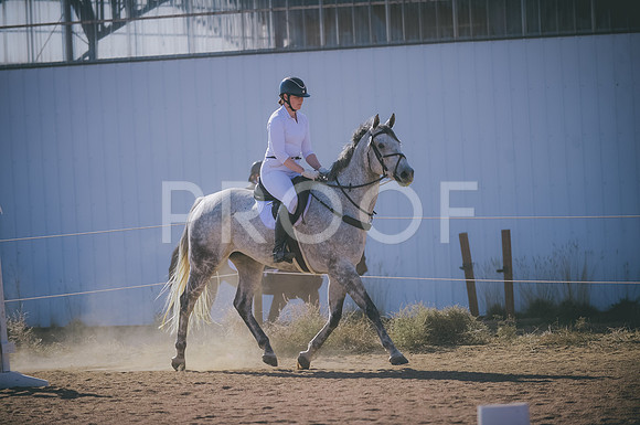 JJS_2584