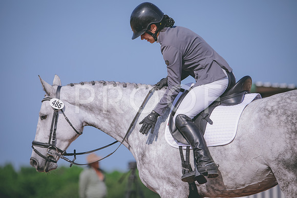 RWP_3899