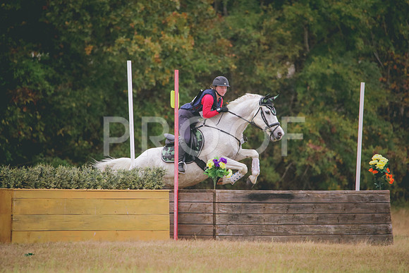 RWP_3328