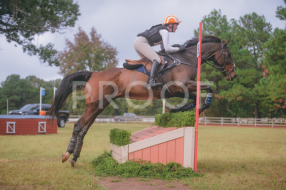 JJS_4038