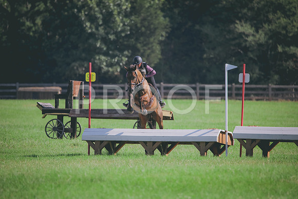 RWP_6329
