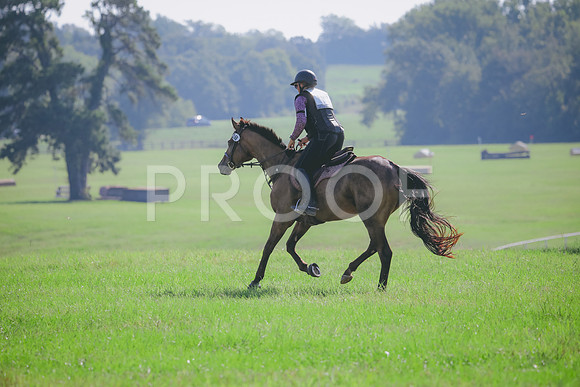 RWP_6306