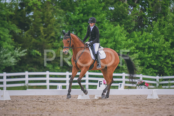 DSC_3338 copy