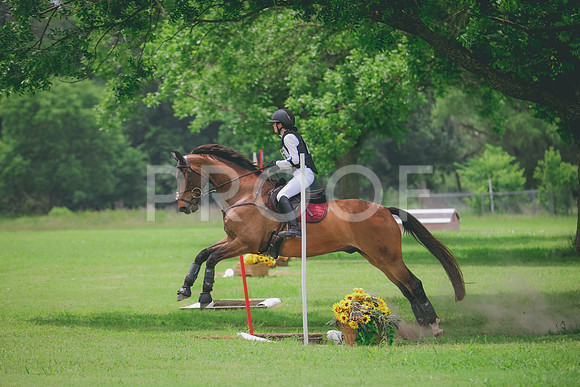 RWP_2510