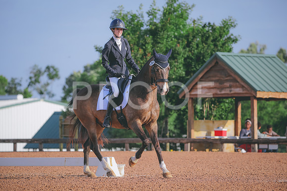 RWP_3690