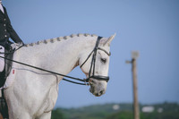 RWP_3718