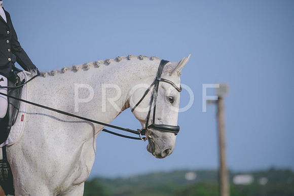 RWP_3718