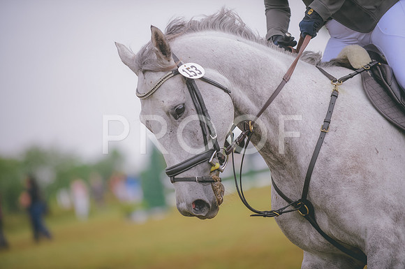 JJS_6437
