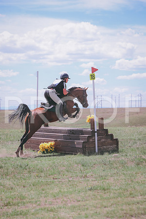 CDH_9101
