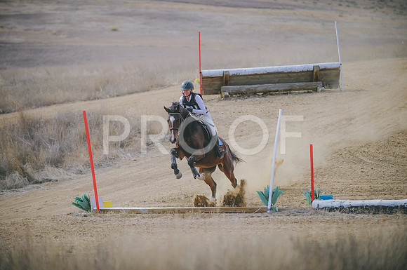 JJS_1179
