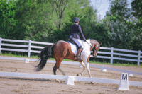 ABY_1464