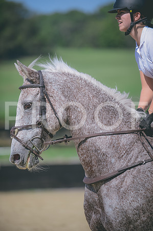 JJS_8287